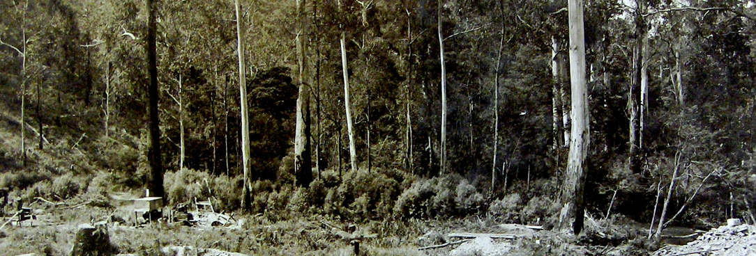 Maroondah Reservoir Park